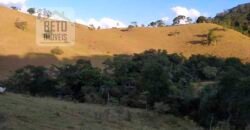 Fazenda com 128 alqueires Ótimo investimento na agropecuária no Norte Fluminense | Cambuci/ RJ