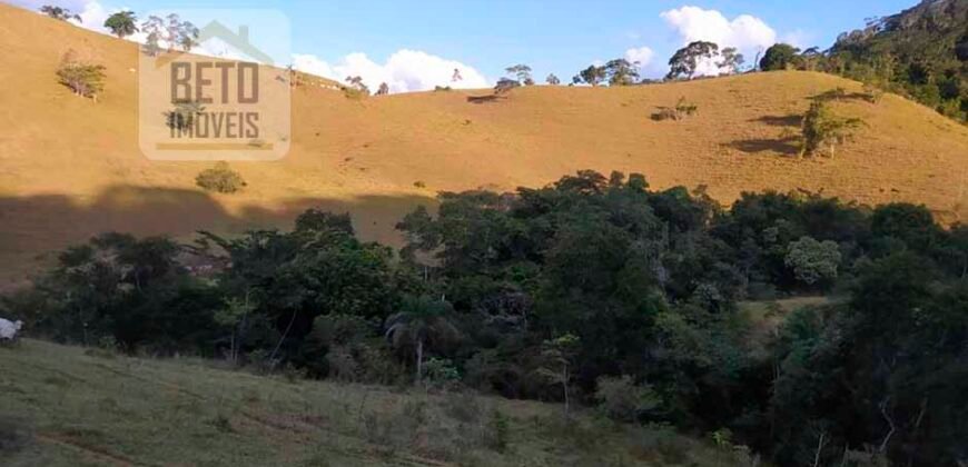 Fazenda com 128 alqueires Ótimo investimento na agropecuária no Norte Fluminense | Cambuci/ RJ
