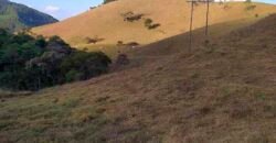 Fazenda com 128 alqueires Ótimo investimento na agropecuária no Norte Fluminense | Cambuci/ RJ