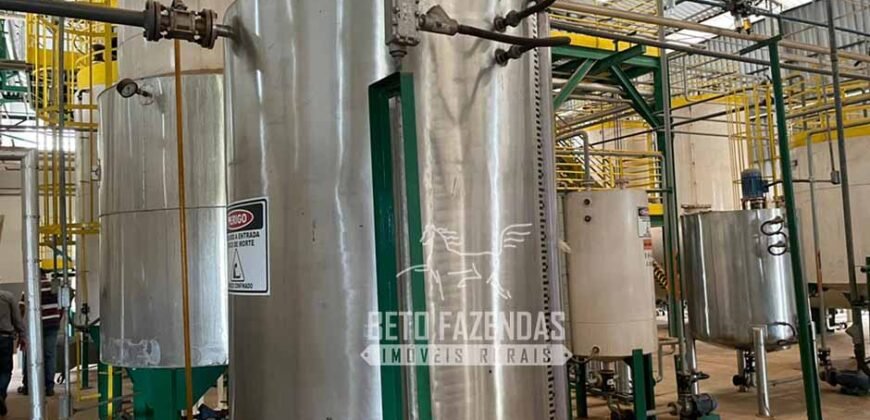 Oportunidade Única: Fazenda de Dupla Aptidão com Fábrica de Biodiesel e Pista de pouso | Nova Mutum/ MT