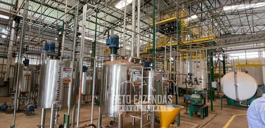 Oportunidade Única: Fazenda de Dupla Aptidão com Fábrica de Biodiesel e Pista de pouso | Nova Mutum/ MT