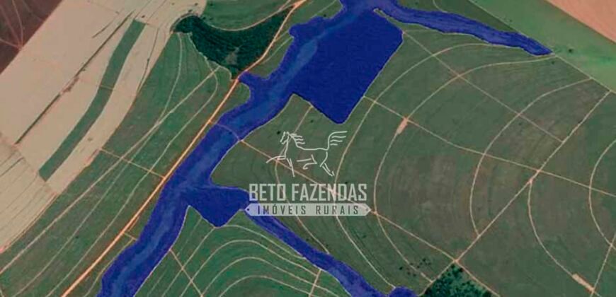 Fazenda à Venda com 2.044 alqueires plantio de cana Toda infraestrutura | São Paulo Fazenda à Venda com 2.044 alqueires plantio de cana Toda infraestrutura | São Paulo