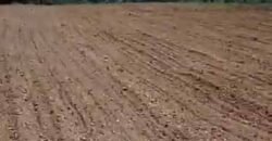 Oportunidade Única: Fazenda Dupla Aptidão 1.033 alqueires Rica em recursos hídricos | Peixes/ TO