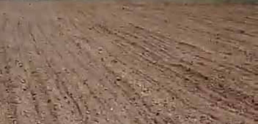 Oportunidade Única: Fazenda Dupla Aptidão 1.033 alqueires Rica em recursos hídricos | Peixes/ TO