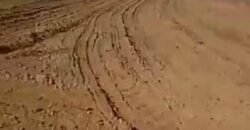 Oportunidade Única: Fazenda Dupla Aptidão 1.033 alqueires Rica em recursos hídricos | Peixes/ TO