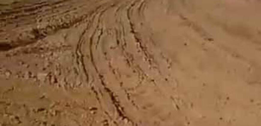 Oportunidade Única: Fazenda Dupla Aptidão 1.033 alqueires Rica em recursos hídricos | Peixes/ TO