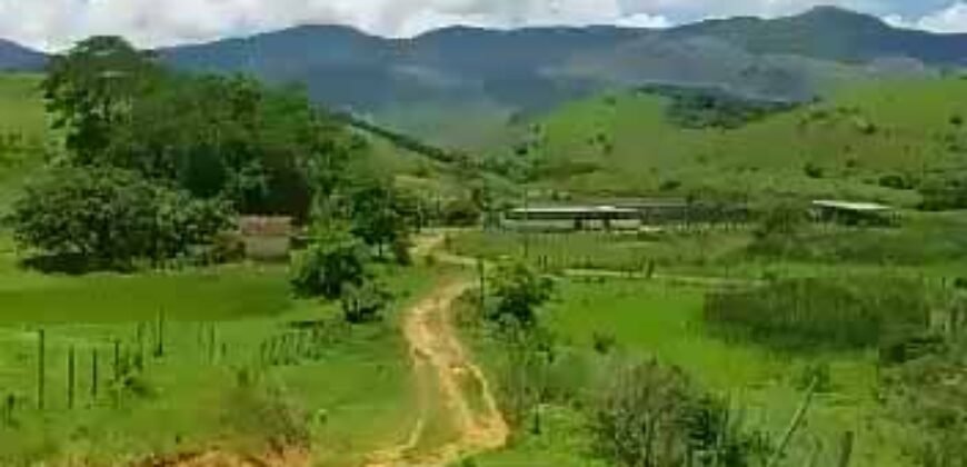 Fazenda com 242 Alqueires com pastagem e Área de reserva | Cambuci/ RJ Fazenda com 242 Alqueires com pastagem e Área de reserva | Cambuci/ RJ