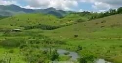 Fazenda com 242 Alqueires com pastagem e Área de reserva | Cambuci/ RJ Fazenda com 242 Alqueires com pastagem e Área de reserva | Cambuci/ RJ