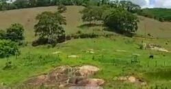 Fazenda com 242 Alqueires com pastagem e Área de reserva | Cambuci/ RJ Fazenda com 242 Alqueires com pastagem e Área de reserva | Cambuci/ RJ