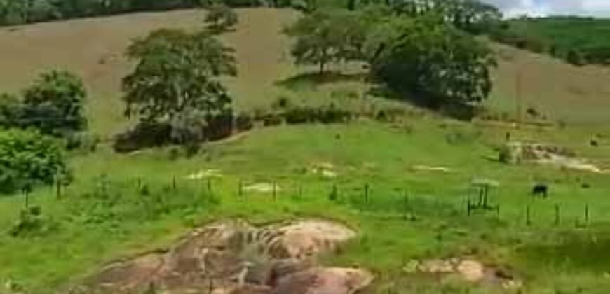 Fazenda com 242 Alqueires com pastagem e Área de reserva | Cambuci/ RJ Fazenda com 242 Alqueires com pastagem e Área de reserva | Cambuci/ RJ