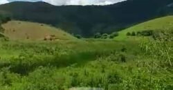 Fazenda com 242 Alqueires com pastagem e Área de reserva | Cambuci/ RJ Fazenda com 242 Alqueires com pastagem e Área de reserva | Cambuci/ RJ