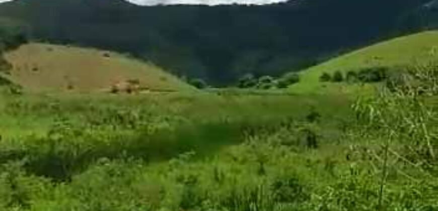 Fazenda com 242 Alqueires com pastagem e Área de reserva | Cambuci/ RJ Fazenda com 242 Alqueires com pastagem e Área de reserva | Cambuci/ RJ