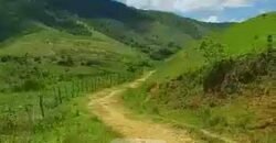 Fazenda com 242 Alqueires com pastagem e Área de reserva | Cambuci/ RJ Fazenda com 242 Alqueires com pastagem e Área de reserva | Cambuci/ RJ