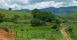 Fazenda com 242 Alqueires com pastagem e Área de reserva | Cambuci/ RJ Fazenda com 242 Alqueires com pastagem e Área de reserva | Cambuci/ RJ