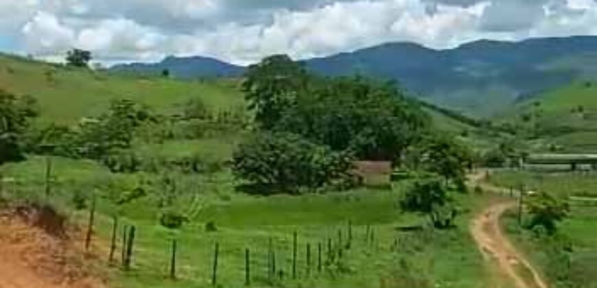 Fazenda com 242 Alqueires com pastagem e Área de reserva | Cambuci/ RJ Fazenda com 242 Alqueires com pastagem e Área de reserva | Cambuci/ RJ