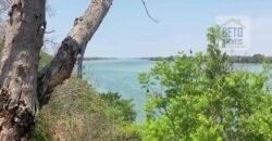 Oportunidade Única: Fazenda Excepcional 980 alqueires Pista de pouso em Tocantins