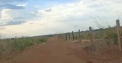 Oportunidade Única: Fazenda Excepcional 980 alqueires Pista de pouso em Tocantins