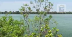 Oportunidade Única: Fazenda Excepcional 980 alqueires Pista de pouso em Tocantins