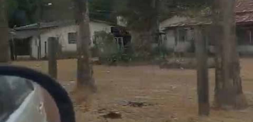 Oportunidade Única: Fazenda Excepcional 980 alqueires Pista de pouso em Tocantins