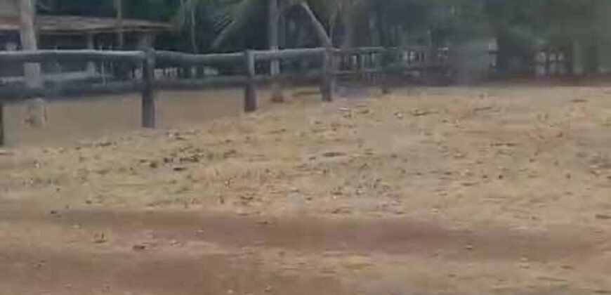 Oportunidade Única: Fazenda Excepcional 980 alqueires Pista de pouso em Tocantins