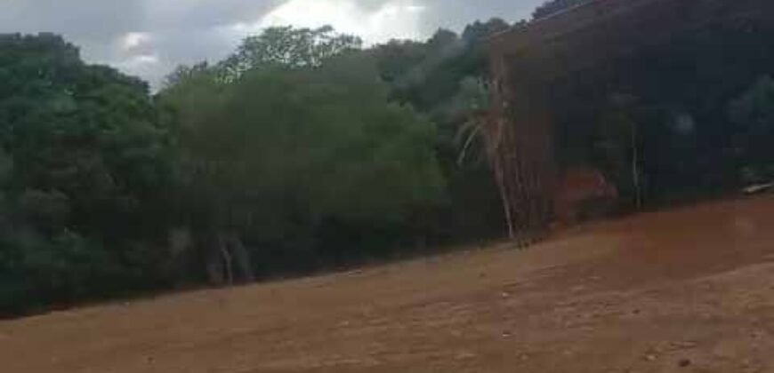 Oportunidade Única: Fazenda Excepcional 980 alqueires Pista de pouso em Tocantins