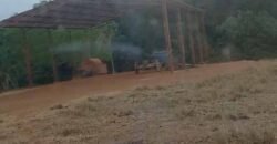 Oportunidade Única: Fazenda Excepcional 980 alqueires Pista de pouso em Tocantins