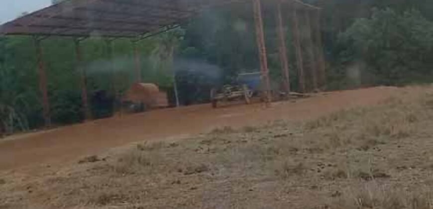 Oportunidade Única: Fazenda Excepcional 980 alqueires Pista de pouso em Tocantins