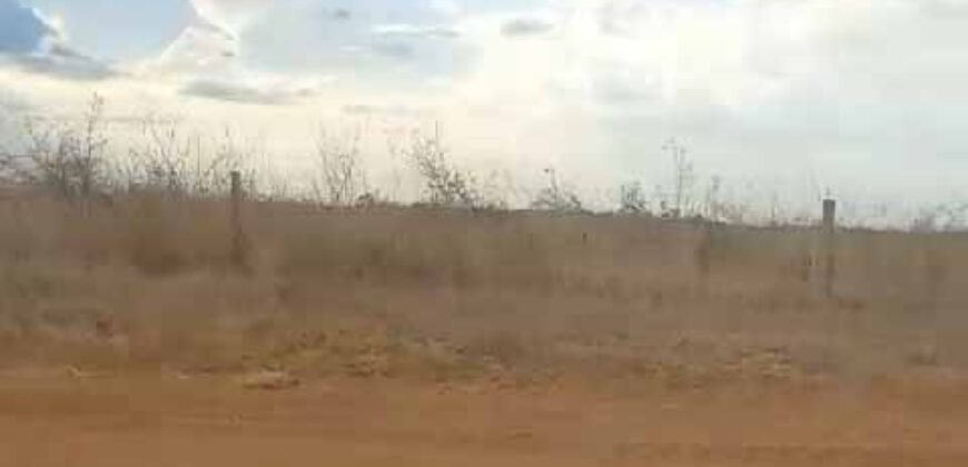 Oportunidade Única: Fazenda Excepcional 980 alqueires Pista de pouso em Tocantins