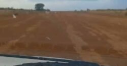 Oportunidade Única: Fazenda Excepcional 980 alqueires Pista de pouso em Tocantins