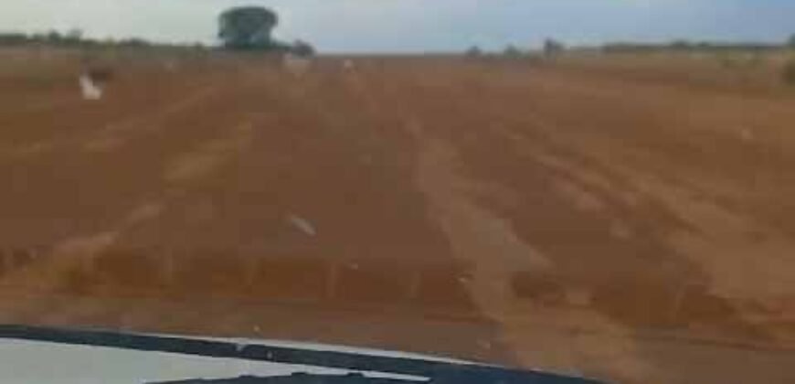 Oportunidade Única: Fazenda Excepcional 980 alqueires Pista de pouso em Tocantins