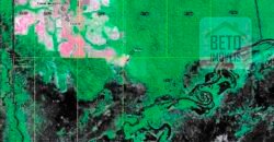 Fazenda à Venda 39 mil hectares Dupla Aptidão Lavoura e Pecuária Pista de pouso | Vale do Araguaia/ MT Fazenda à Venda 39 mil hectares Dupla Aptidão Lavoura e Pecuária Pista de pouso | Vale do Araguaia/ MT