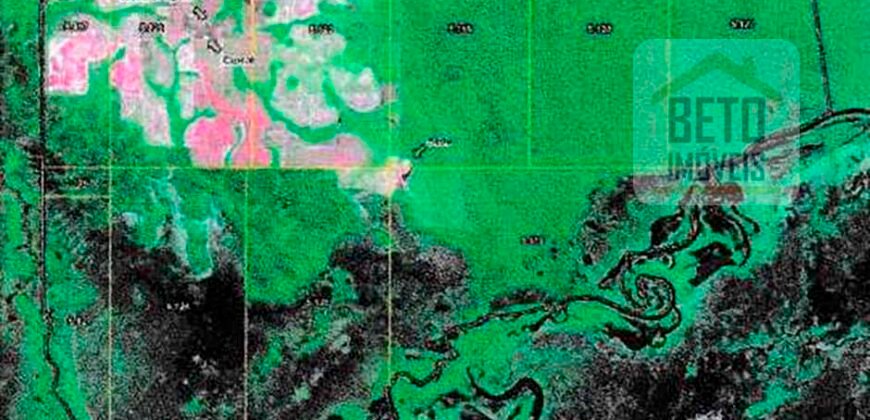 Fazenda à Venda 39 mil hectares Dupla Aptidão Lavoura e Pecuária Pista de pouso | Vale do Araguaia/ MT Fazenda à Venda 39 mil hectares Dupla Aptidão Lavoura e Pecuária Pista de pouso | Vale do Araguaia/ MT