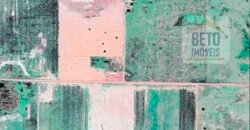 Fazenda à Venda 39 mil hectares Dupla Aptidão Lavoura e Pecuária Pista de pouso | Vale do Araguaia/ MT Fazenda à Venda 39 mil hectares Dupla Aptidão Lavoura e Pecuária Pista de pouso | Vale do Araguaia/ MT