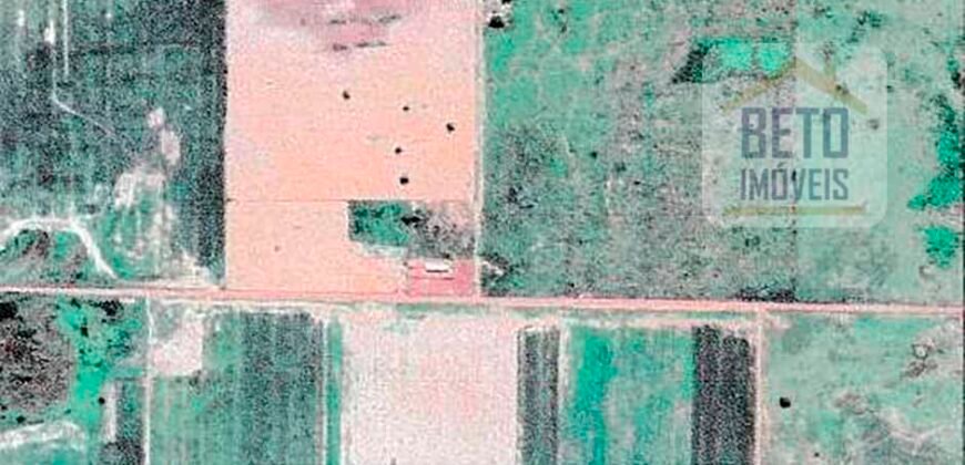 Fazenda à Venda 39 mil hectares Dupla Aptidão Lavoura e Pecuária Pista de pouso | Vale do Araguaia/ MT Fazenda à Venda 39 mil hectares Dupla Aptidão Lavoura e Pecuária Pista de pouso | Vale do Araguaia/ MT