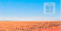 Fazenda à Venda 39 mil hectares Dupla Aptidão Lavoura e Pecuária Pista de pouso | Vale do Araguaia/ MT Fazenda à Venda 39 mil hectares Dupla Aptidão Lavoura e Pecuária Pista de pouso | Vale do Araguaia/ MT