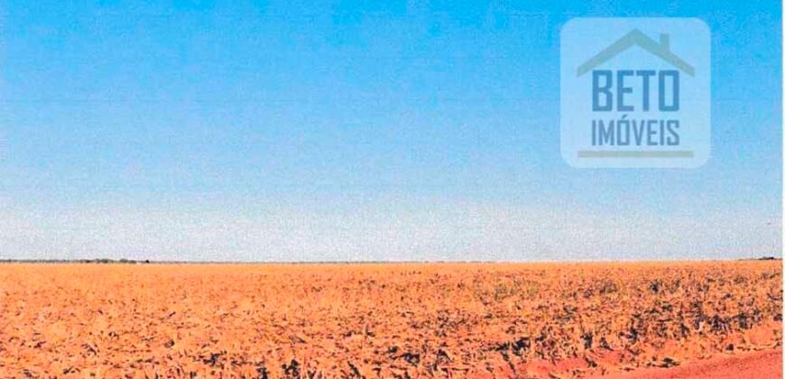 Fazenda à Venda 39 mil hectares Dupla Aptidão Lavoura e Pecuária Pista de pouso | Vale do Araguaia/ MT Fazenda à Venda 39 mil hectares Dupla Aptidão Lavoura e Pecuária Pista de pouso | Vale do Araguaia/ MT