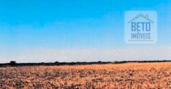 Fazenda à Venda 39 mil hectares Dupla Aptidão Lavoura e Pecuária Pista de pouso | Vale do Araguaia/ MT Fazenda à Venda 39 mil hectares Dupla Aptidão Lavoura e Pecuária Pista de pouso | Vale do Araguaia/ MT