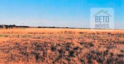 Fazenda à Venda 39 mil hectares Dupla Aptidão Lavoura e Pecuária Pista de pouso | Vale do Araguaia/ MT Fazenda à Venda 39 mil hectares Dupla Aptidão Lavoura e Pecuária Pista de pouso | Vale do Araguaia/ MT