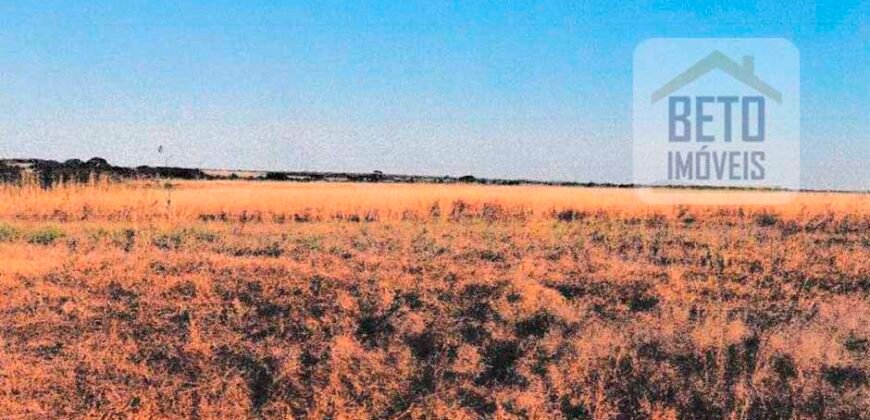 Fazenda à Venda 39 mil hectares Dupla Aptidão Lavoura e Pecuária Pista de pouso | Vale do Araguaia/ MT Fazenda à Venda 39 mil hectares Dupla Aptidão Lavoura e Pecuária Pista de pouso | Vale do Araguaia/ MT