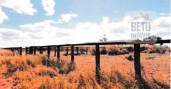 Fazenda à Venda 39 mil hectares Dupla Aptidão Lavoura e Pecuária Pista de pouso | Vale do Araguaia/ MT Fazenda à Venda 39 mil hectares Dupla Aptidão Lavoura e Pecuária Pista de pouso | Vale do Araguaia/ MT