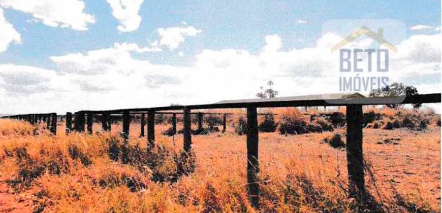 Fazenda à Venda 39 mil hectares Dupla Aptidão Lavoura e Pecuária Pista de pouso | Vale do Araguaia/ MT Fazenda à Venda 39 mil hectares Dupla Aptidão Lavoura e Pecuária Pista de pouso | Vale do Araguaia/ MT