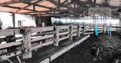 Fazenda à Venda 39 mil hectares Dupla Aptidão Lavoura e Pecuária Pista de pouso | Vale do Araguaia/ MT Fazenda à Venda 39 mil hectares Dupla Aptidão Lavoura e Pecuária Pista de pouso | Vale do Araguaia/ MT