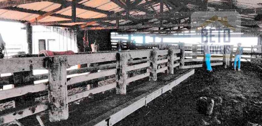 Fazenda à Venda 39 mil hectares Dupla Aptidão Lavoura e Pecuária Pista de pouso | Vale do Araguaia/ MT Fazenda à Venda 39 mil hectares Dupla Aptidão Lavoura e Pecuária Pista de pouso | Vale do Araguaia/ MT