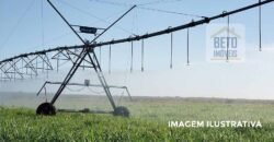 Oportunidade Única! Fazenda de 573 Alqueires na Região de Presidente Prudente | Rancharia – SP