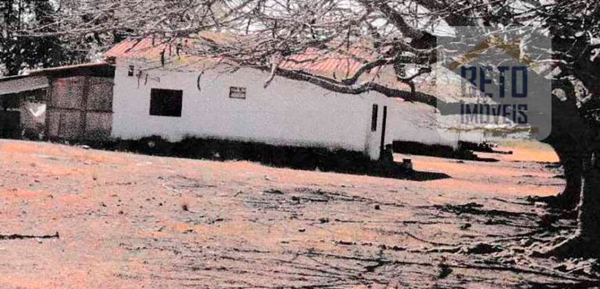 Fazenda à Venda 39 mil hectares Dupla Aptidão Lavoura e Pecuária Pista de pouso | Vale do Araguaia/ MT Fazenda à Venda 39 mil hectares Dupla Aptidão Lavoura e Pecuária Pista de pouso | Vale do Araguaia/ MT