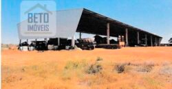 Fazenda à Venda 39 mil hectares Dupla Aptidão Lavoura e Pecuária Pista de pouso | Vale do Araguaia/ MT Fazenda à Venda 39 mil hectares Dupla Aptidão Lavoura e Pecuária Pista de pouso | Vale do Araguaia/ MT