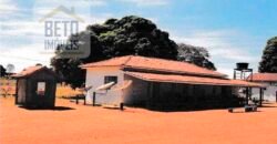 Fazenda à Venda 39 mil hectares Dupla Aptidão Lavoura e Pecuária Pista de pouso | Vale do Araguaia/ MT Fazenda à Venda 39 mil hectares Dupla Aptidão Lavoura e Pecuária Pista de pouso | Vale do Araguaia/ MT