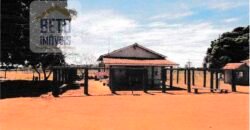 Fazenda à Venda 39 mil hectares Dupla Aptidão Lavoura e Pecuária Pista de pouso | Vale do Araguaia/ MT Fazenda à Venda 39 mil hectares Dupla Aptidão Lavoura e Pecuária Pista de pouso | Vale do Araguaia/ MT