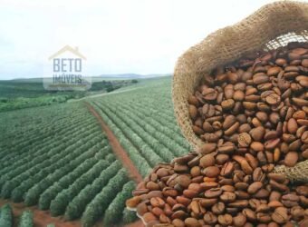Venda de Fazenda produtiva de Café e Pecuária c/ 2.495 ha Próximo ao Aeroporto | Bambuí/ MG Venda de Fazenda produtiva de Café e Pecuária c/ 2.495 ha Próximo ao Aeroporto | Bambuí/ MG