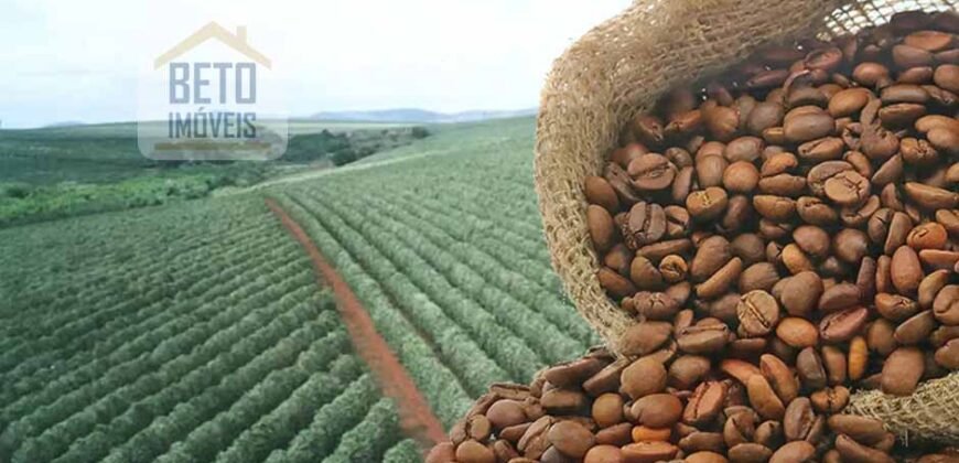 Venda de Fazenda produtiva de Café e Pecuária c/ 2.495 ha Próximo ao Aeroporto | Bambuí/ MG